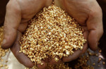 Высочайший может произвести Ддо 260 тысяч унций золота в 2024 г.